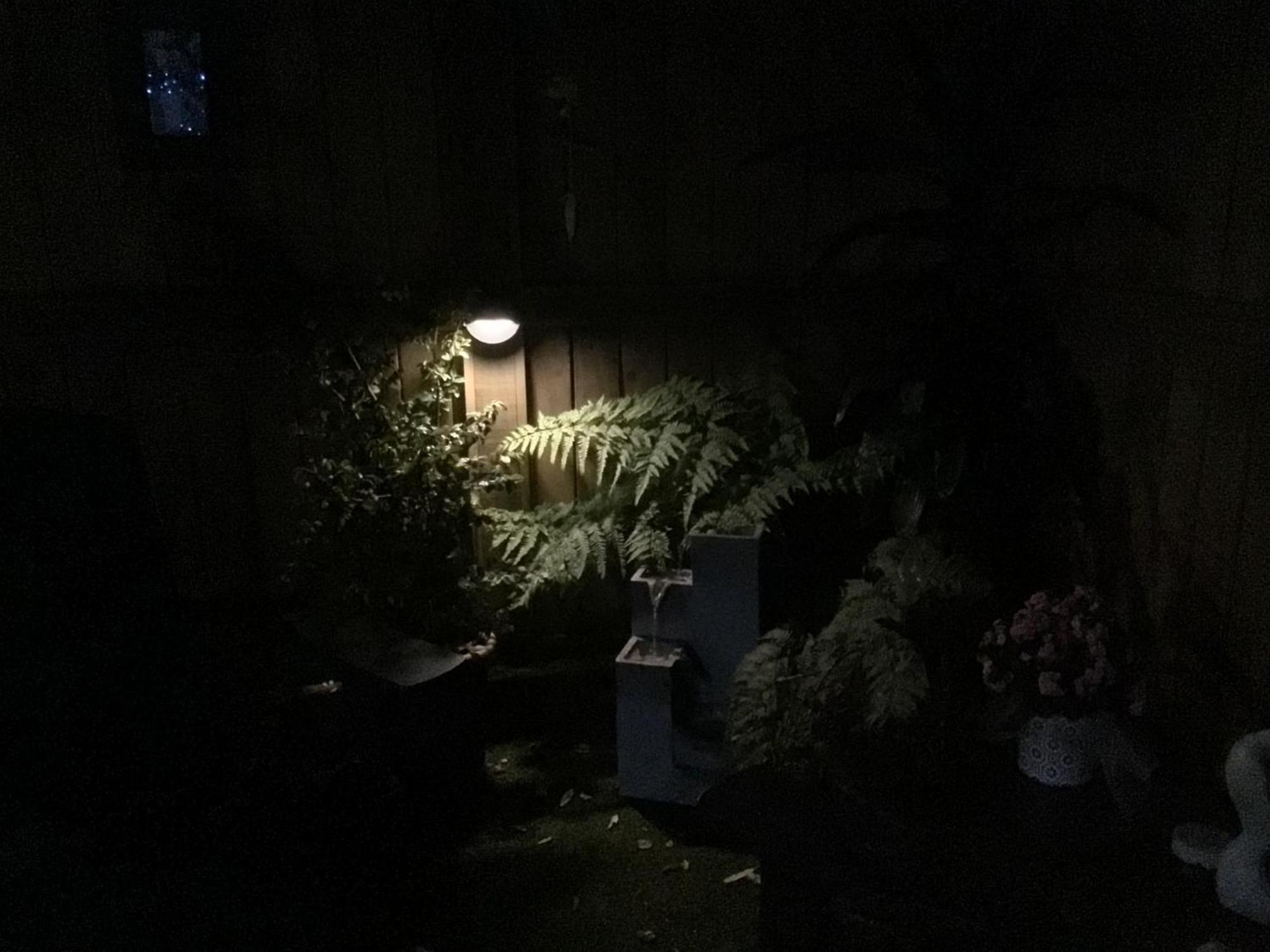 Tranquil Garden Studio Tauranga Exteriér fotografie